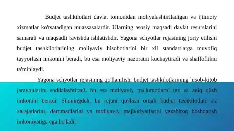 Yagona schyotlar rejasi 4