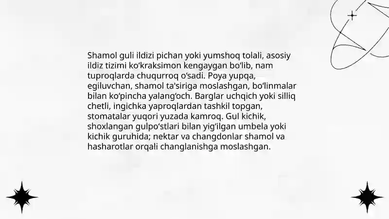 Shamol guli 4