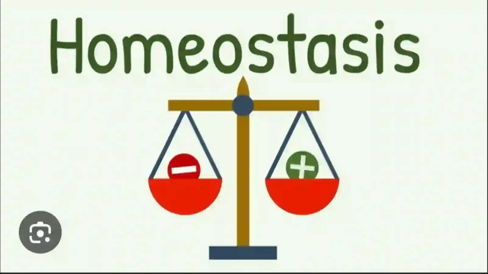 Gomeostaz mexanizmi va uning patologiyasi 4