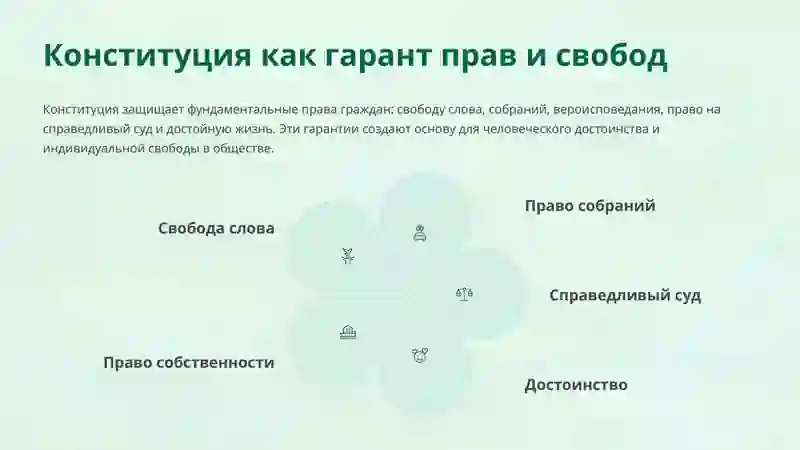 Конституция 4