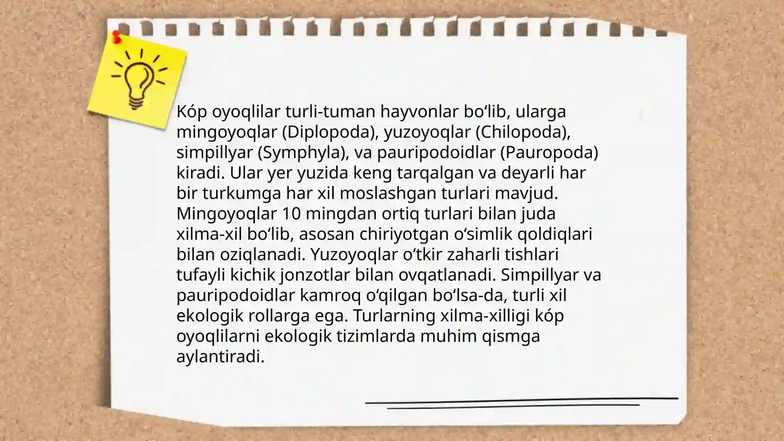 Kóp oyoqlilar sinfi 4