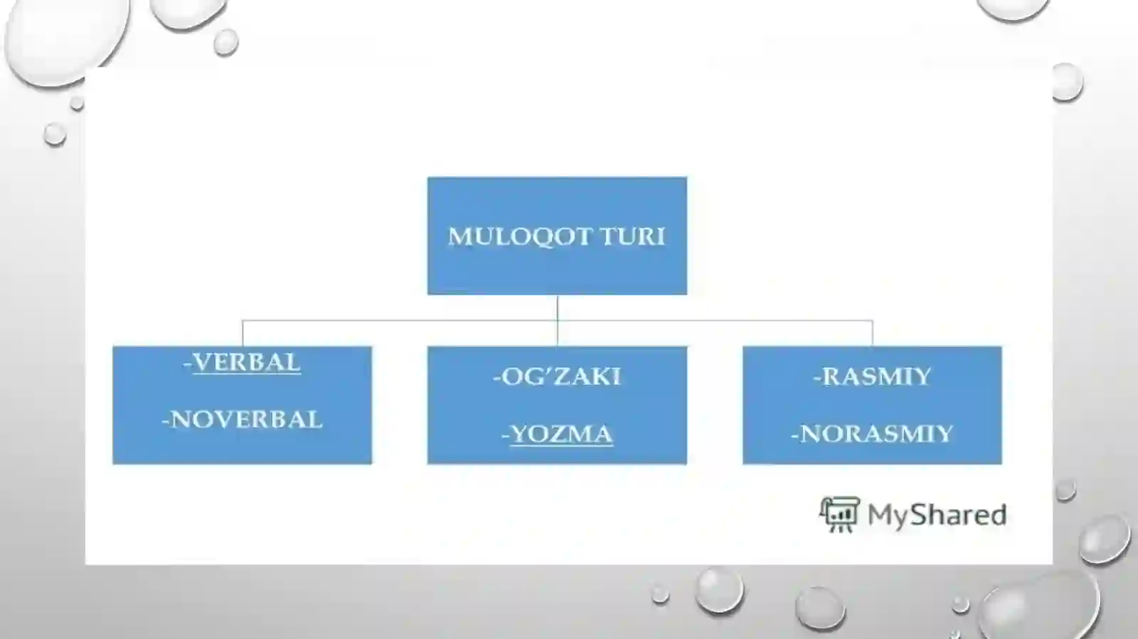 Biologiya yo’nalishi 1-kurs talabasiayubjonovabdulaziz 4