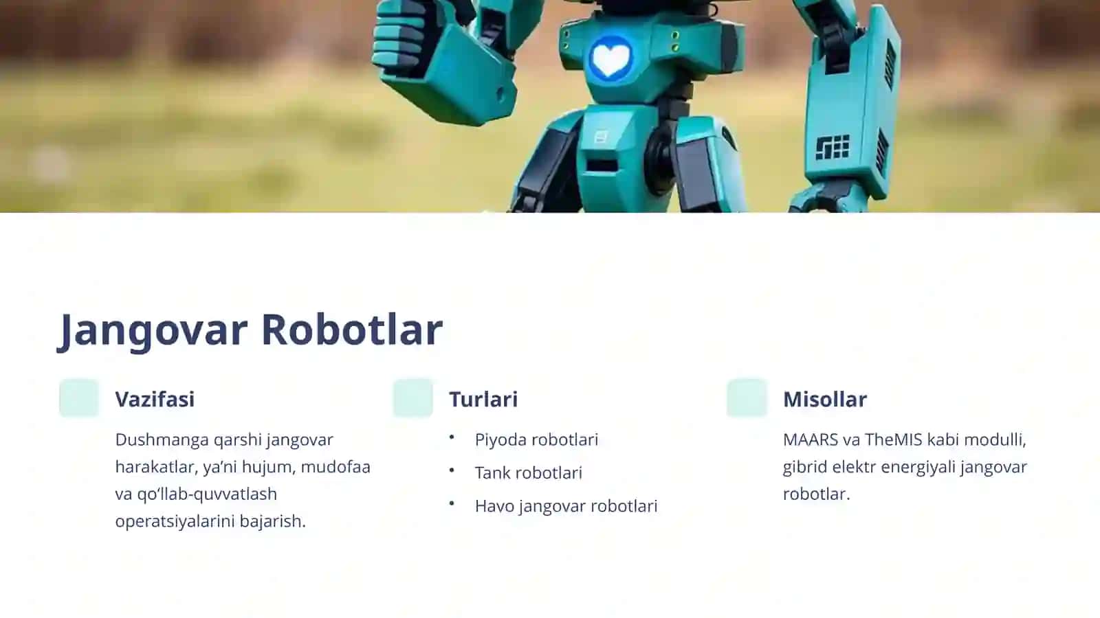 Harbiyrobotlarning turlari va vazifalari 4