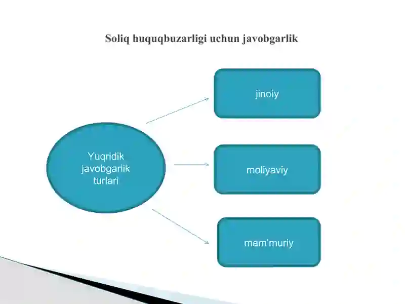 Soliqqa oid huquqbuzarliklar va ularni sodir etganlik uchun javobgarlik 4