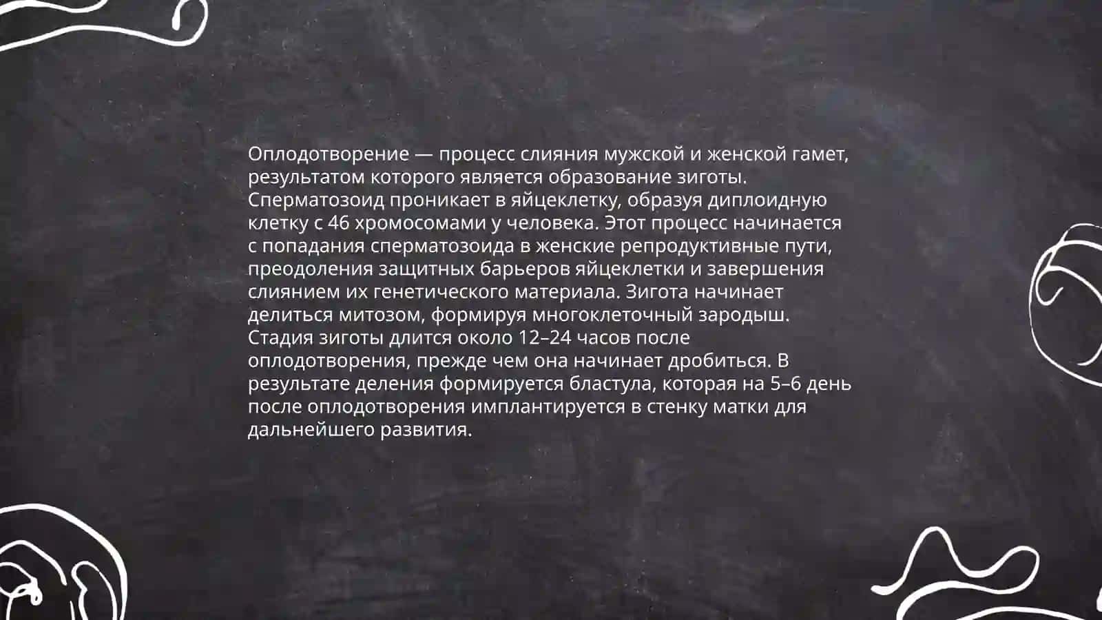 ЭМБРИОЛОГИЯ ЧЕЛОВЕКА 4