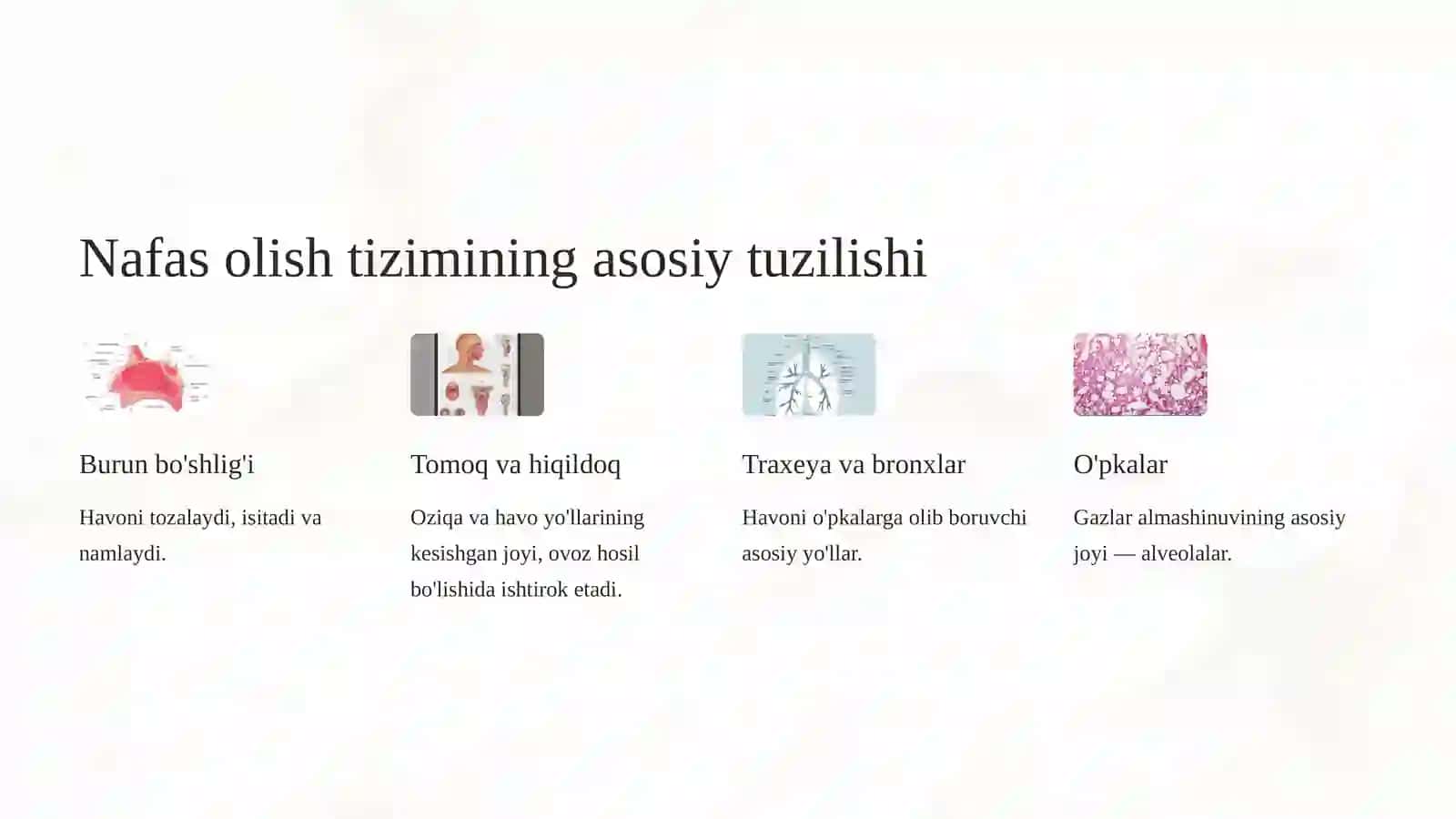 Nafas Olish Tizimining Fiziologiyasi 4