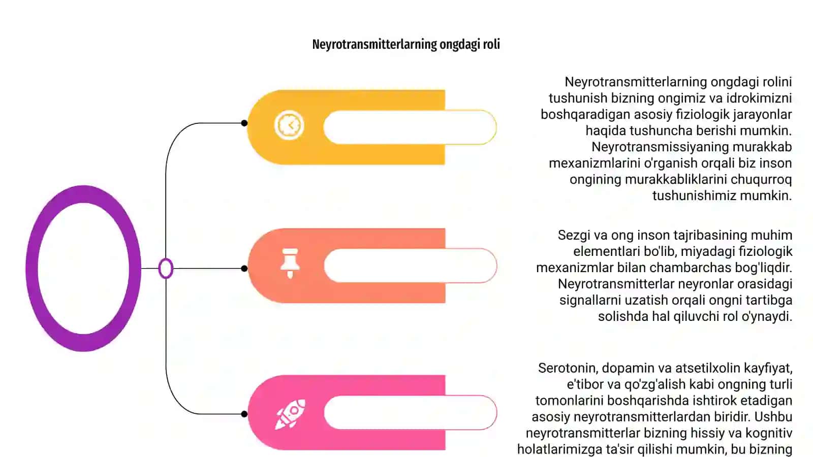 Sezgi,ong va uning fiziologik mexanizmlari 4