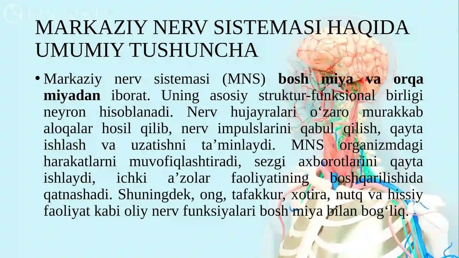 MARKAZIY NERV SISTEMASI VA MARKAZLARI 4