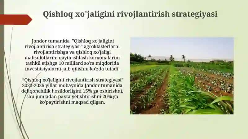 Jondor tumanida qashshoqlikni qishloq xo'jaligi orqali kamaytirish 4