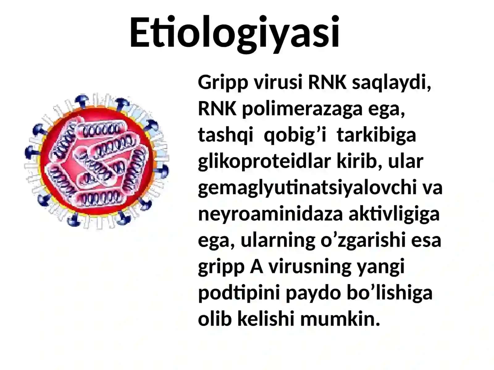 GRIPP.O’RVI 4