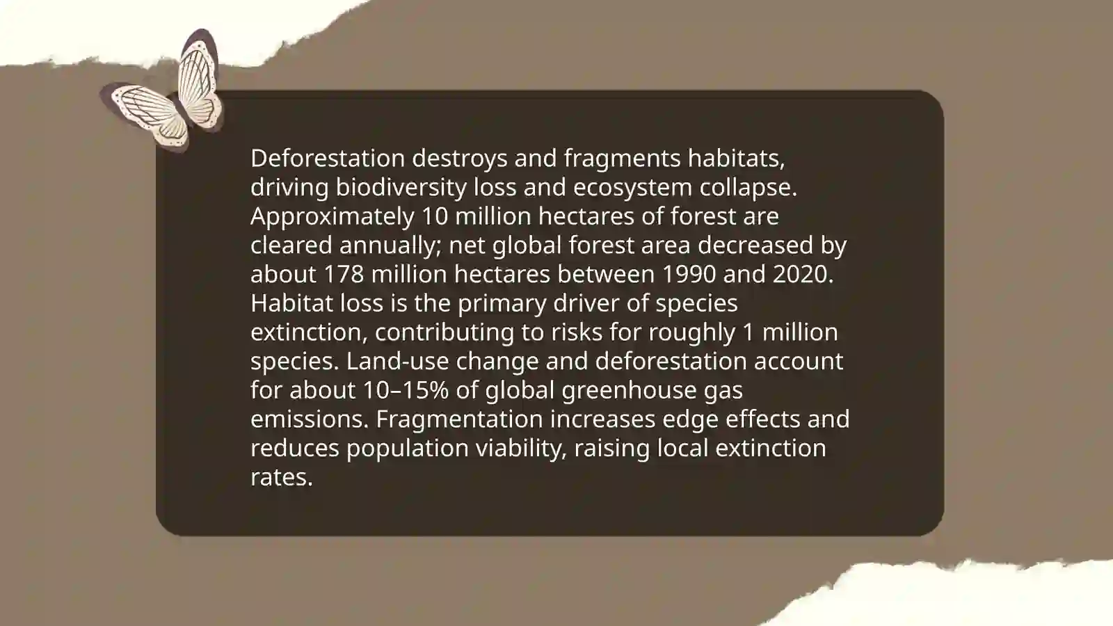 Ecological Problems 4