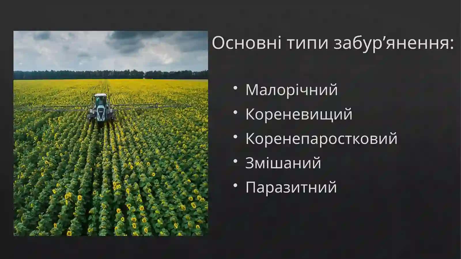Агротипизабур’яненняполів 4