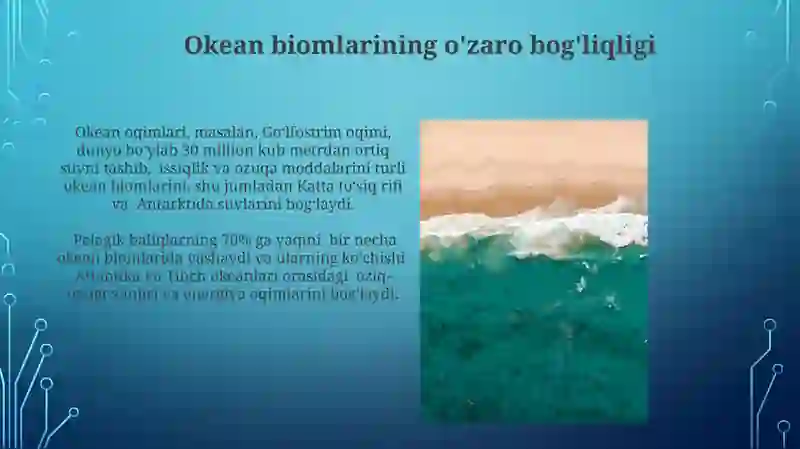 Dunyo okeani biomlari 4