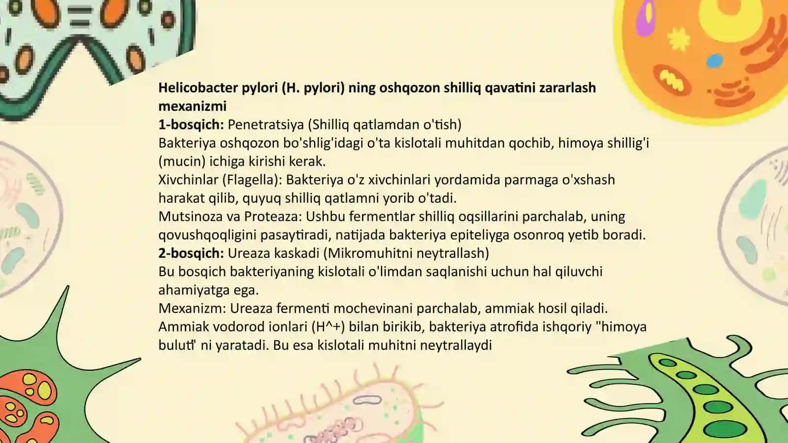 Oshqozon yara kasalligi etiologiyasi va patogenez 4