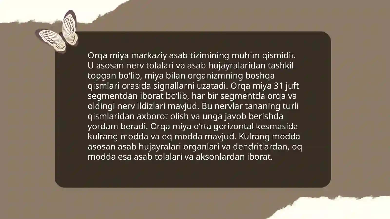 Orqa miya anatomiyasi 4