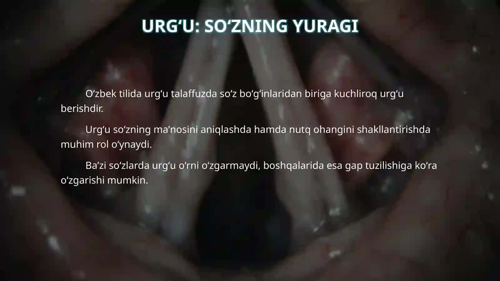 Boʻgʻin va urgʻu 4