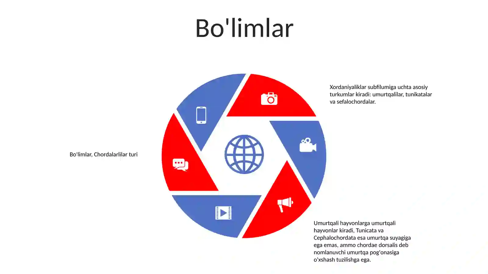 Xordalilar Tipi 4