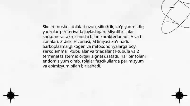 Muskul to'qimasi Gistologiyadan 4