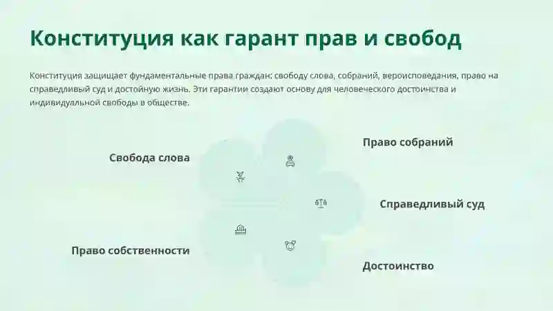 Конституция 4