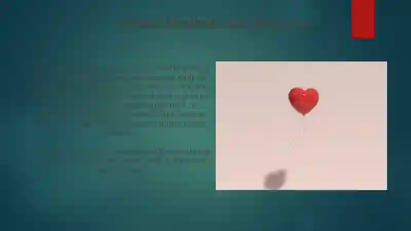 Object-Oriented Programming Principles 4