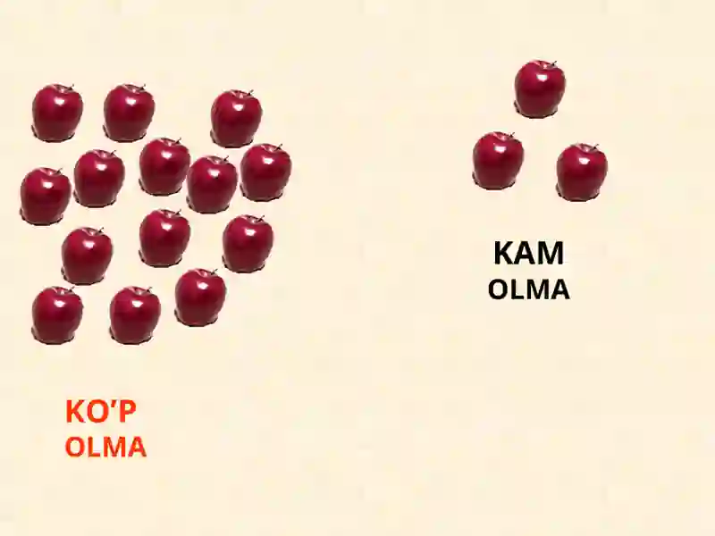 OLMA 4