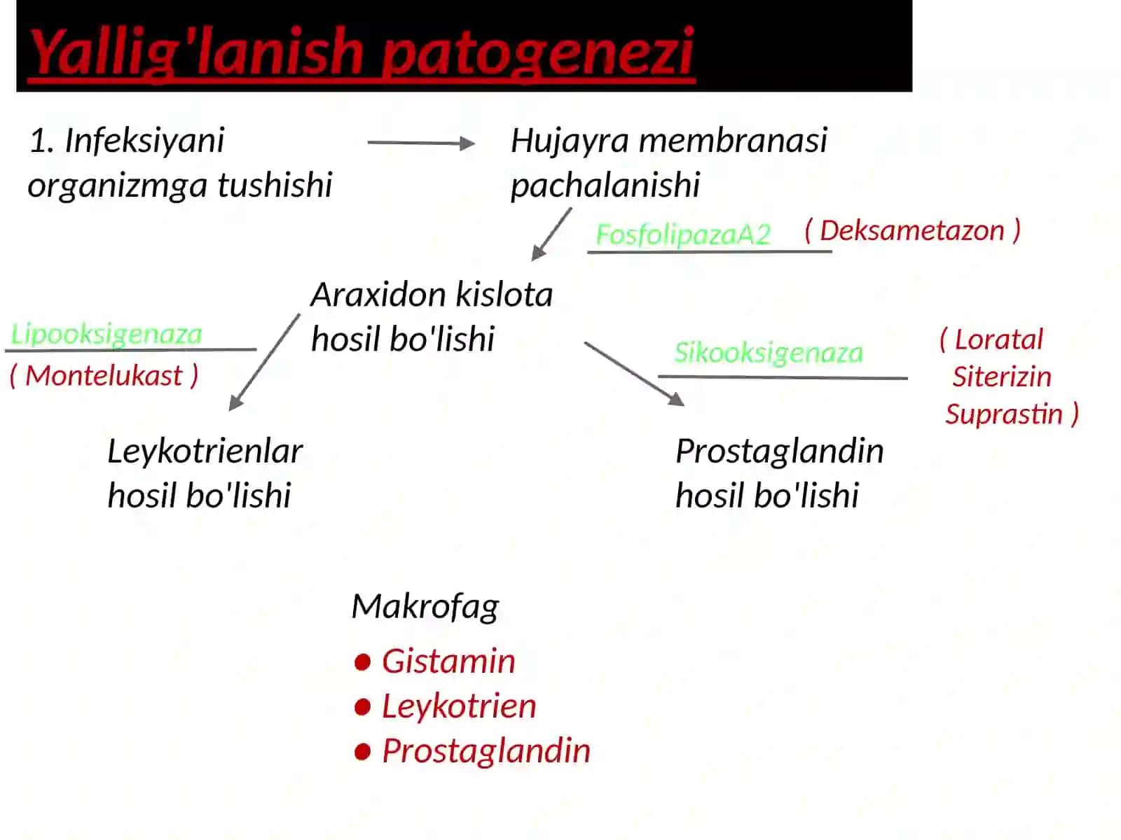 O'tkir bronxit va bronxo pnevmoniya 4