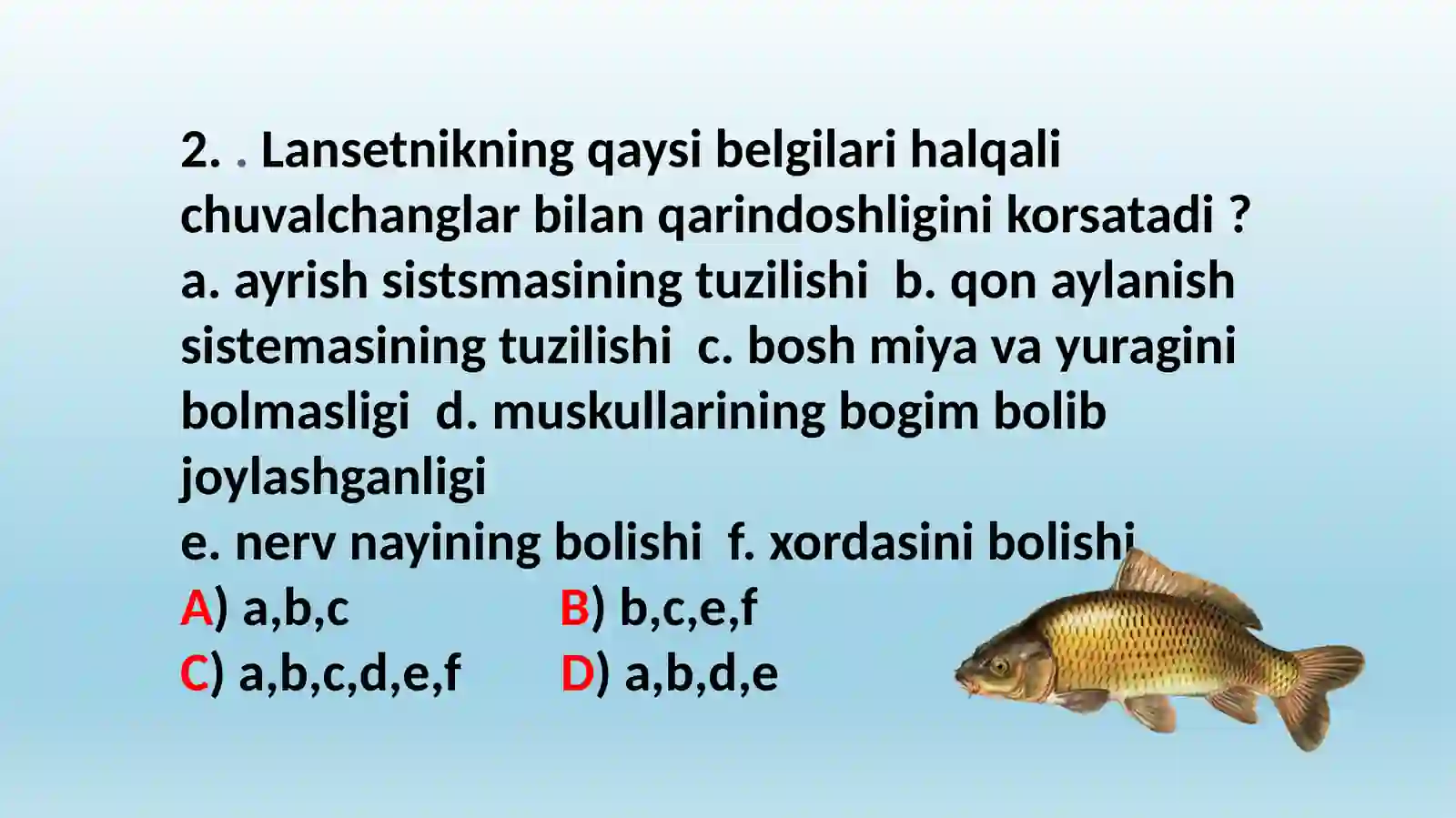 Baliqlarning ichki tuzilishi 4