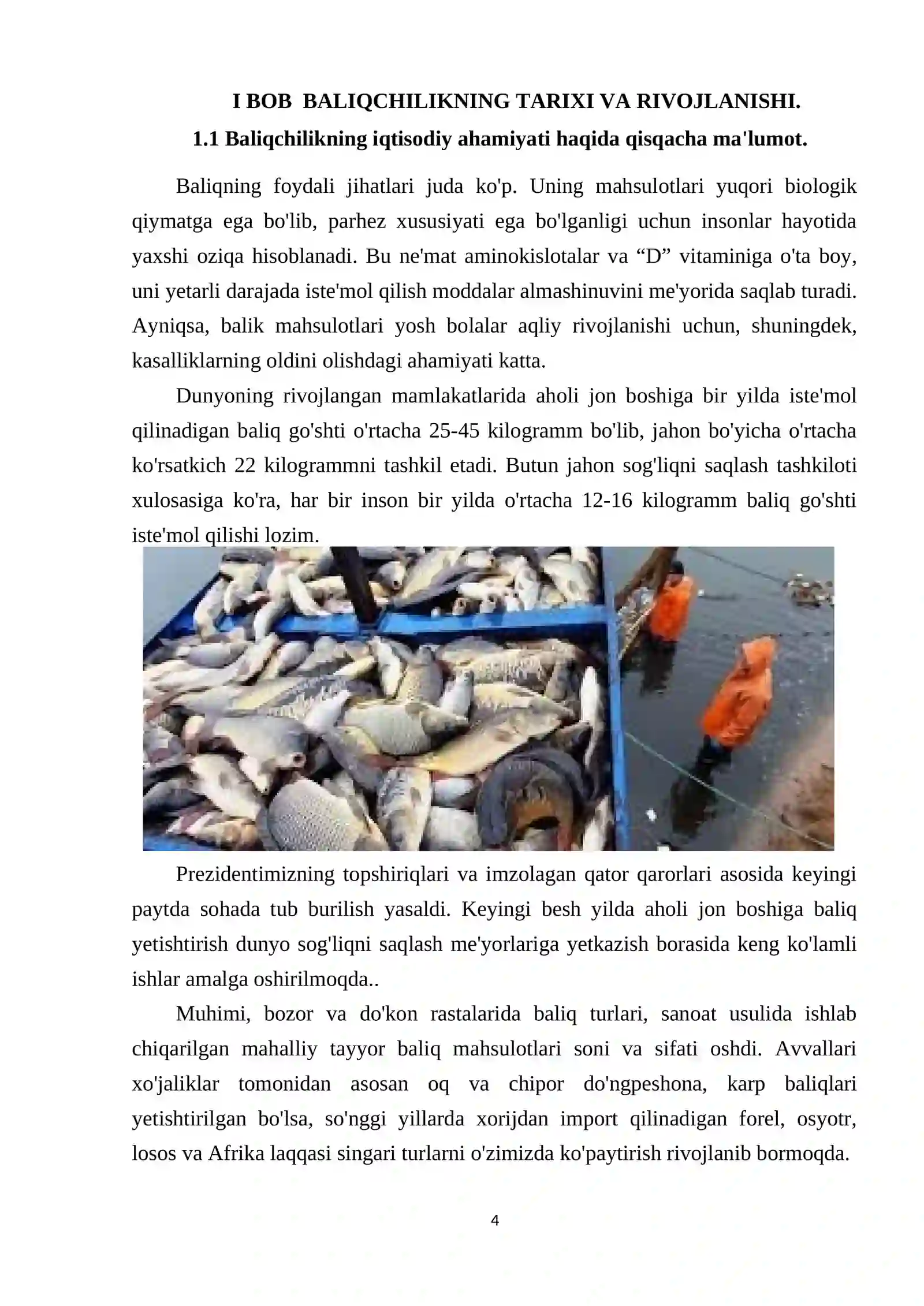 Baliqchilikning iqtisodiy ahamiyati 4