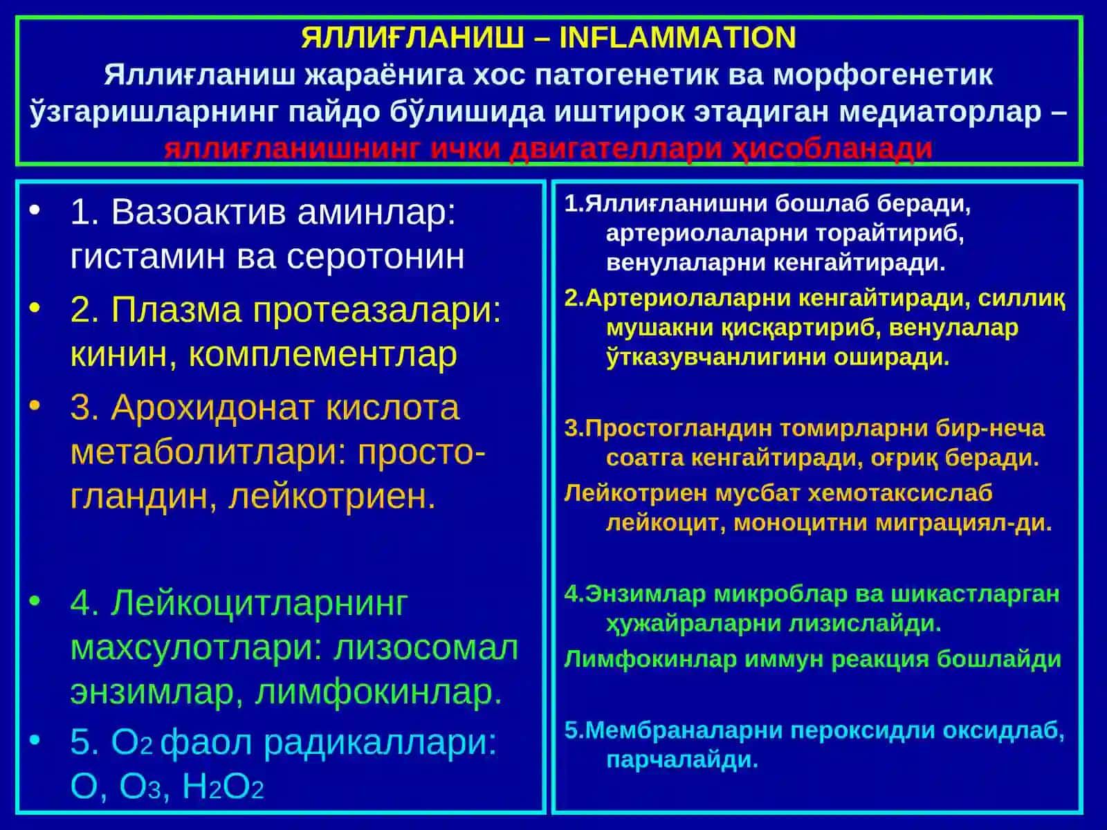“Яллиғланиш” 4
