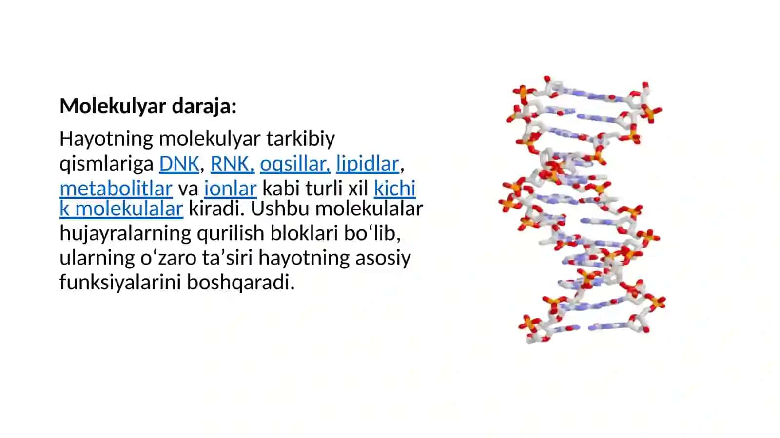 Hujayrabiologiyasi. Genterapiyasi.Klonlar,klonlashtirish 4