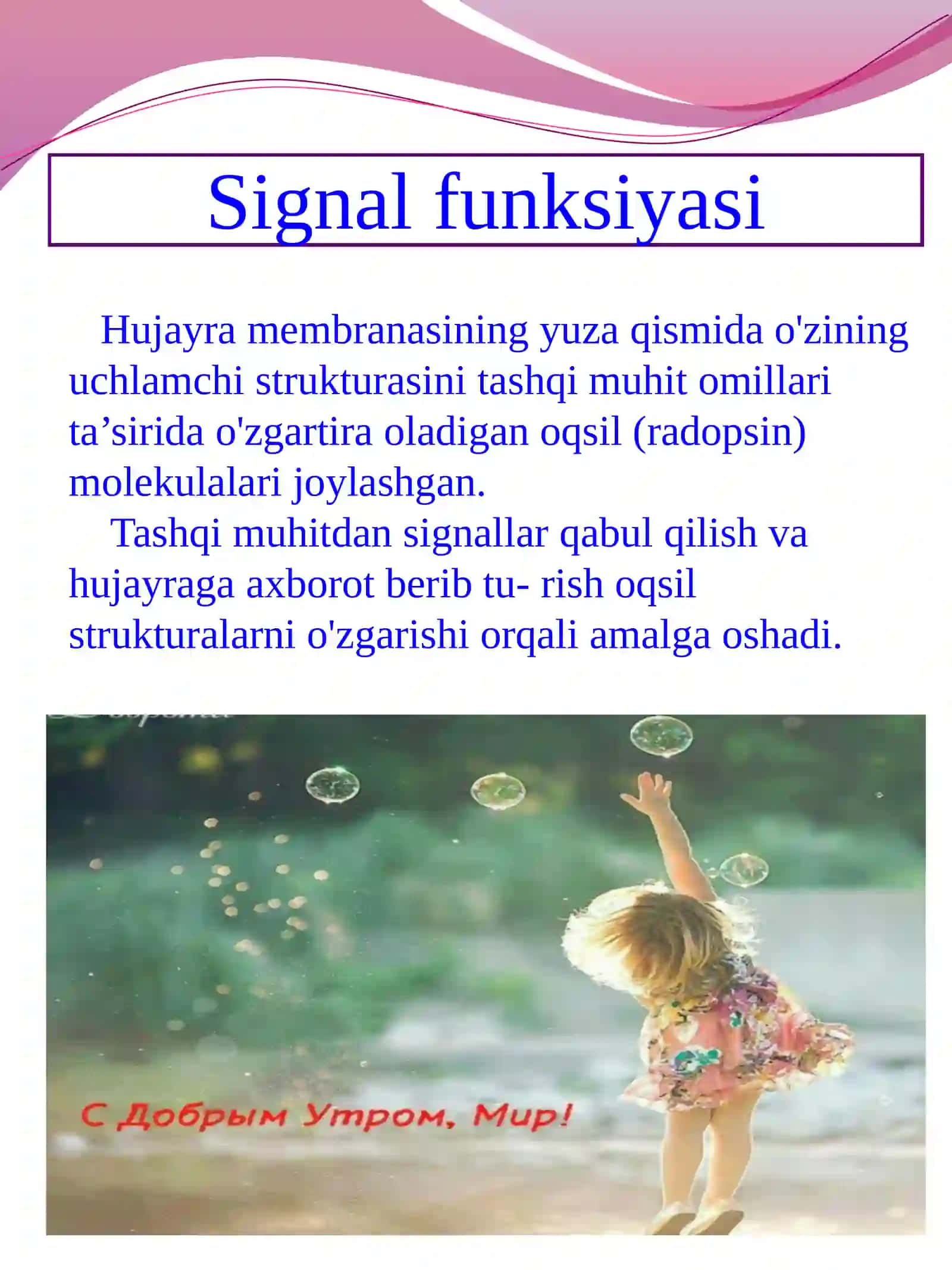 Abduraimova Shahzodaning Biokimyofanidan Mustaqilishi 4