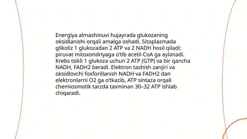 Moddalar va energiya almashinuvi fiziologiyasi 4