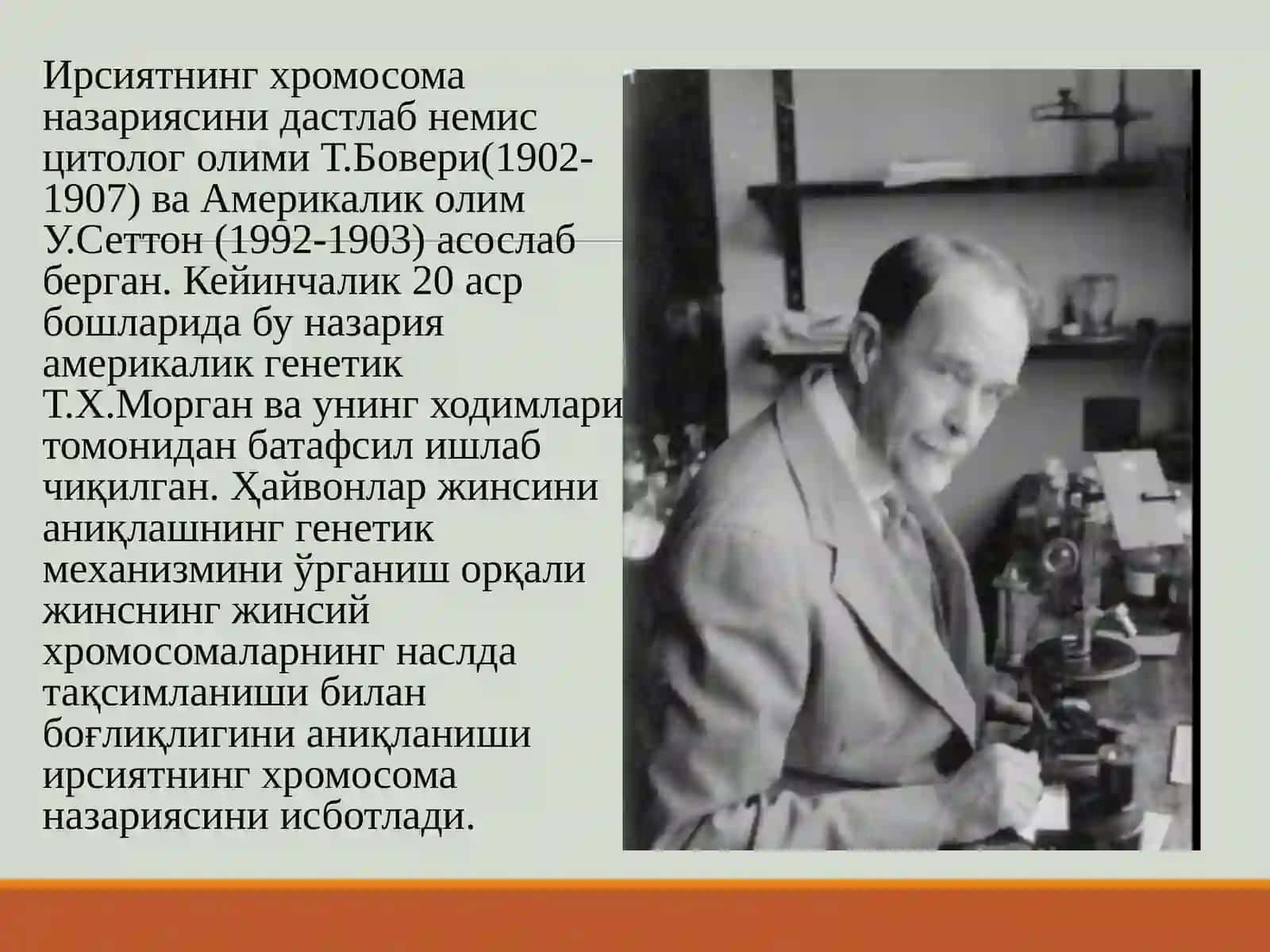 Ирсиятнинг хромосома назарияси 4