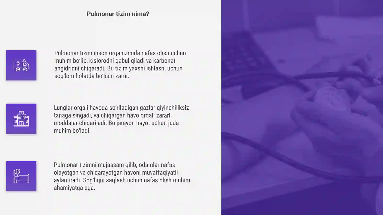 O'pka va uning pulmonar tizimi 4