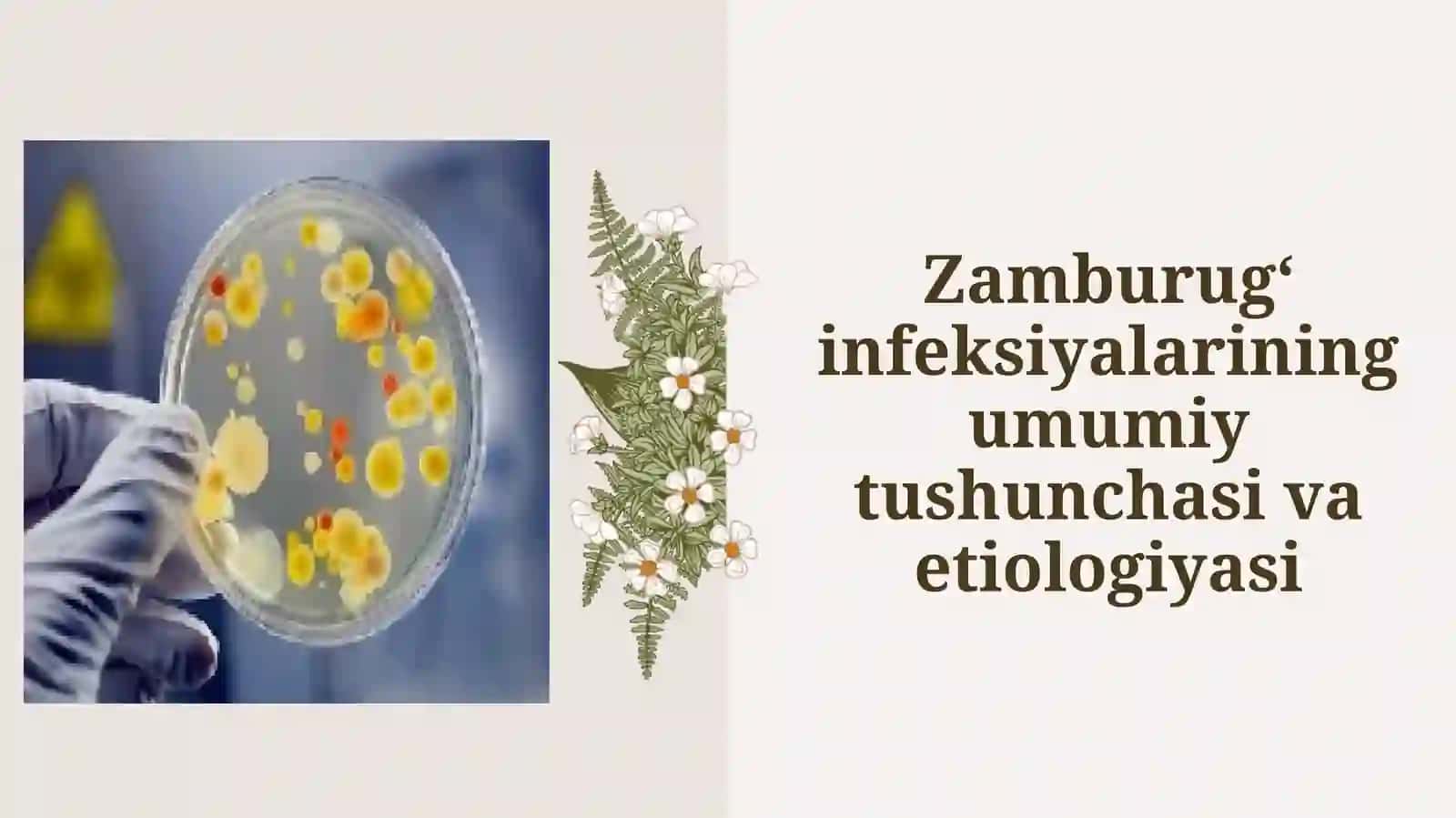 Zamburug‘ infeksiyalari patogenezi 4