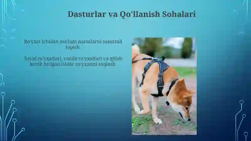 Preview 4