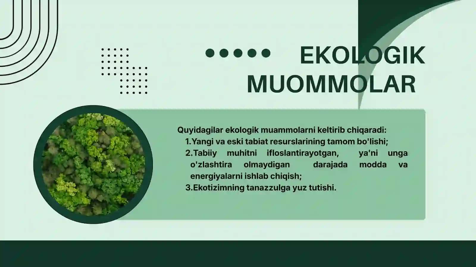 ATROF MUHITNI HIMOYA QILISHDA XALQARO HAMKORLIK 4