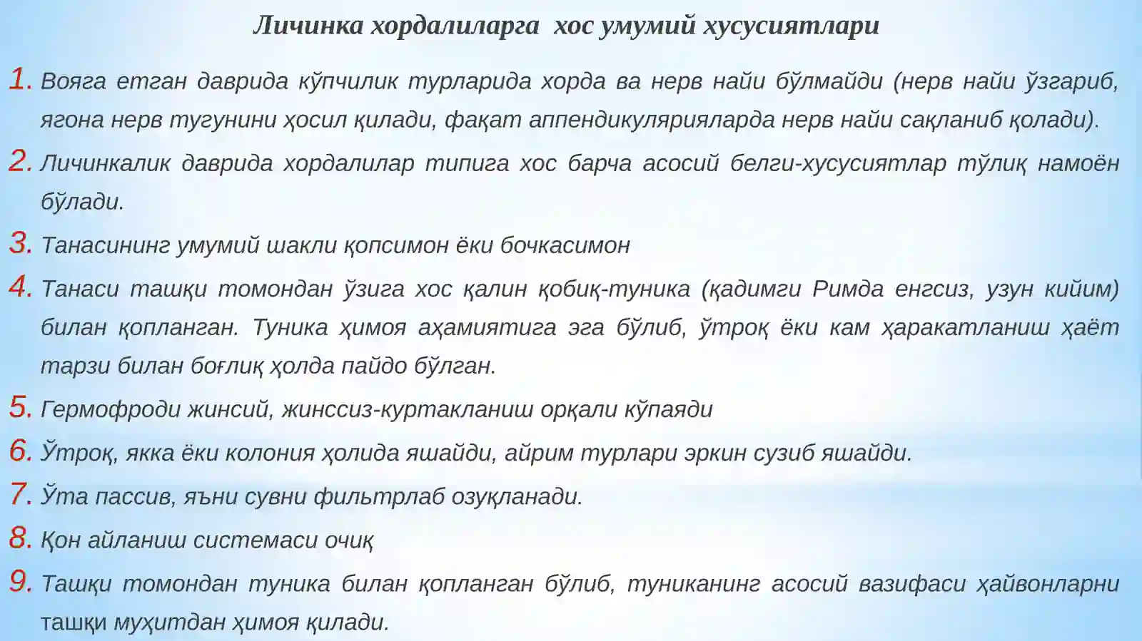 Хордалилар - Chordata типи 4