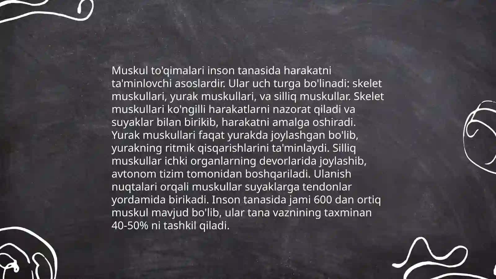 Bilak soxasi topografiyasi anatomiyasi 4