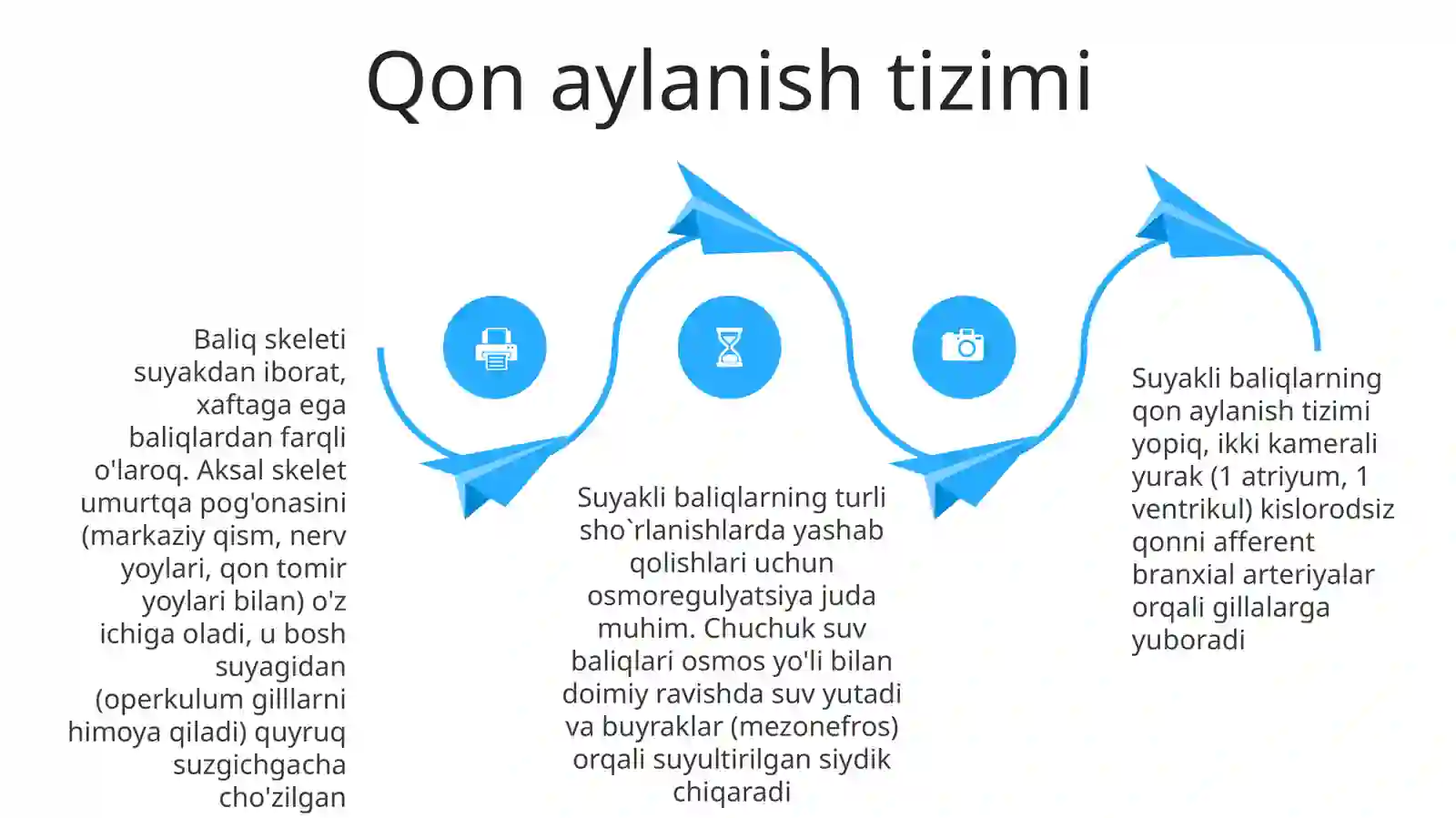 Suyakli baliqlarning tuzilishi va hayot kechirishi 4