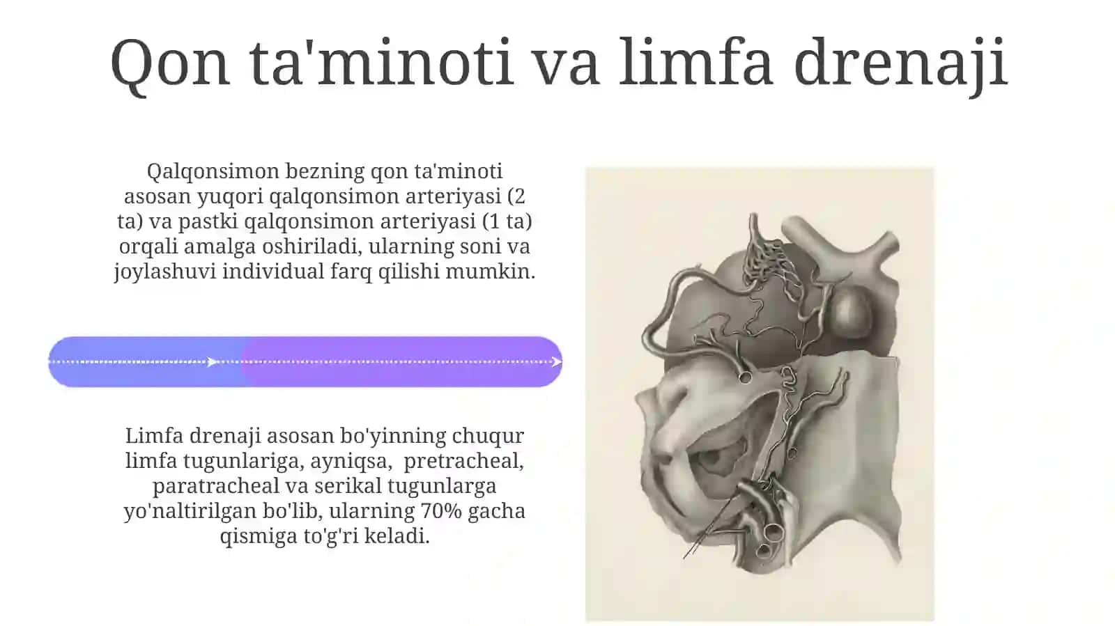 Qalqonsimon bez tuzilishi va patalogiyasi 4