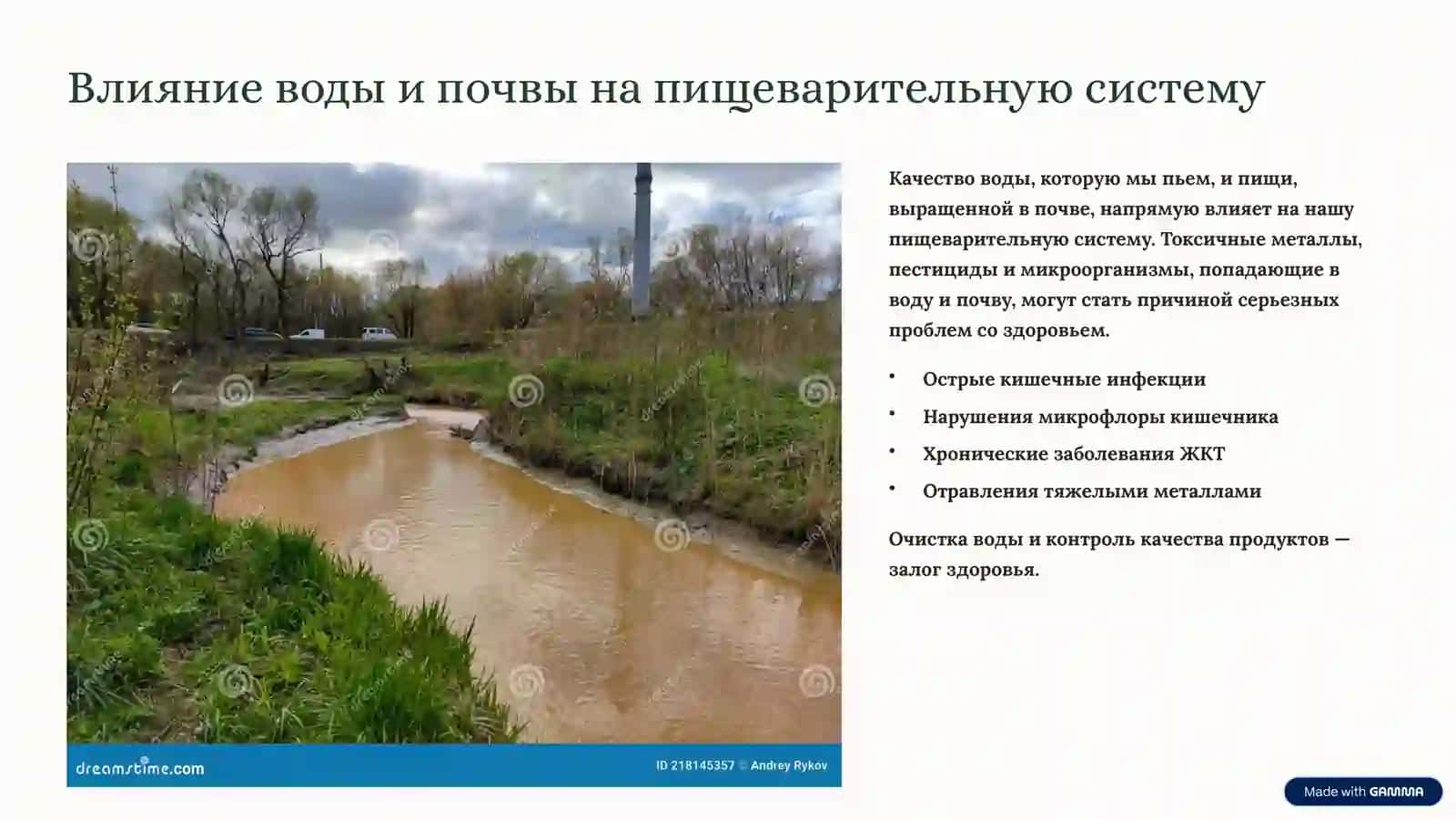 БОЛЕЗНИ, АССОЦИИРОВАННЫЕ С ДЕЙСТВИЕМ ФАКТОРОВ ОКРУЖАЮЩЕЙ СРЕДЫ И ПИТАНИЕМ 4
