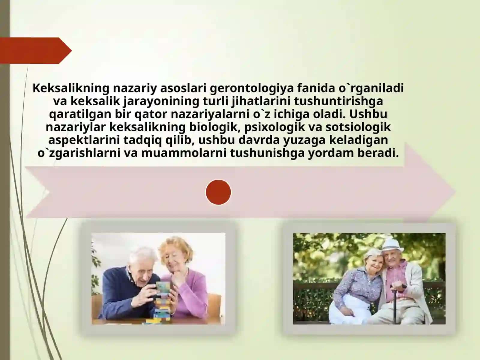 Inson hayotining keksalik hadidagi qarashlari. 4