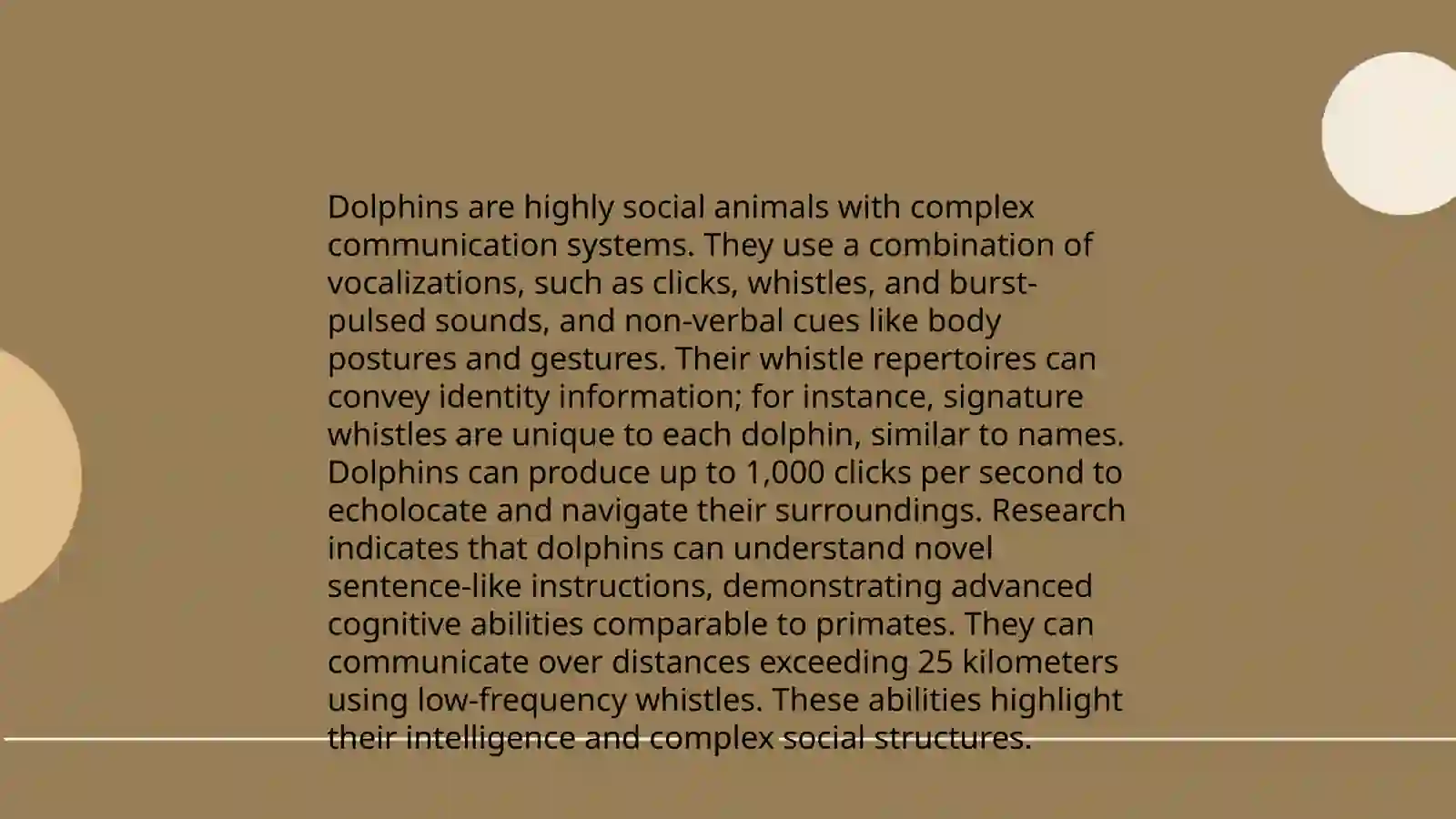 Animals Intellegence Zoology 4