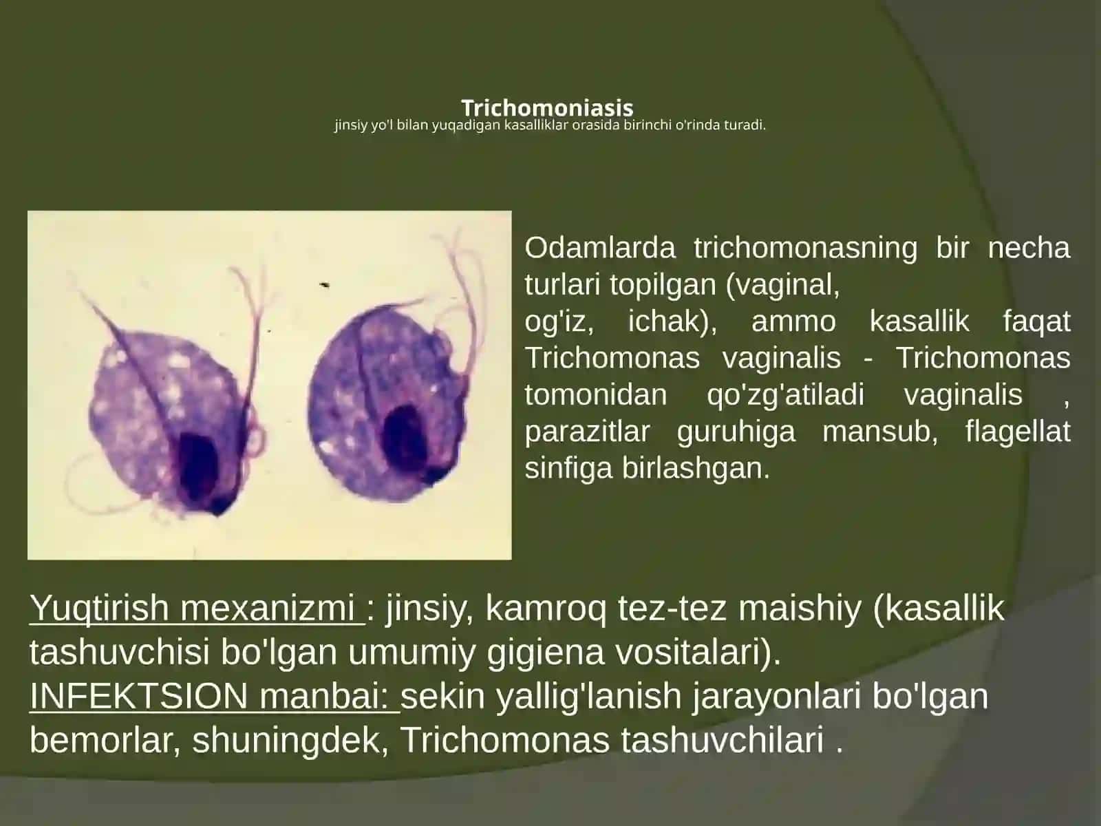 Xlamidiya infektsiyalari 4