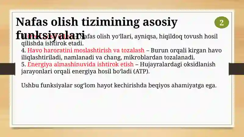 Nafas olish tizimi 4