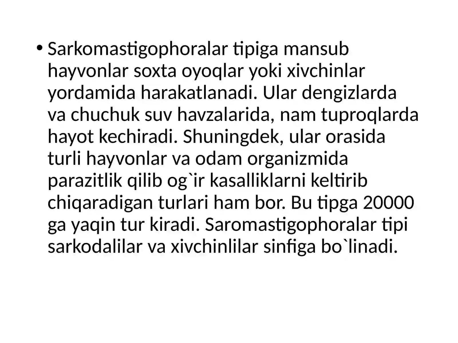 Umurtqasiz hayvonlar bilan umumiy tasnifi 4
