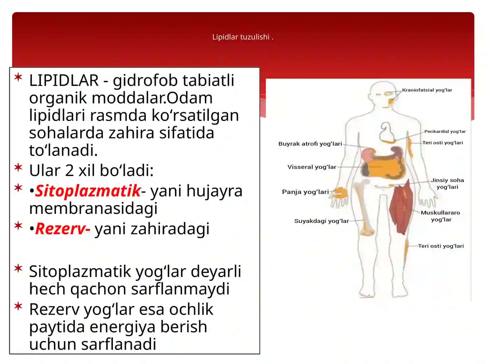 Yog’larning oraliq almashi nuvi 4