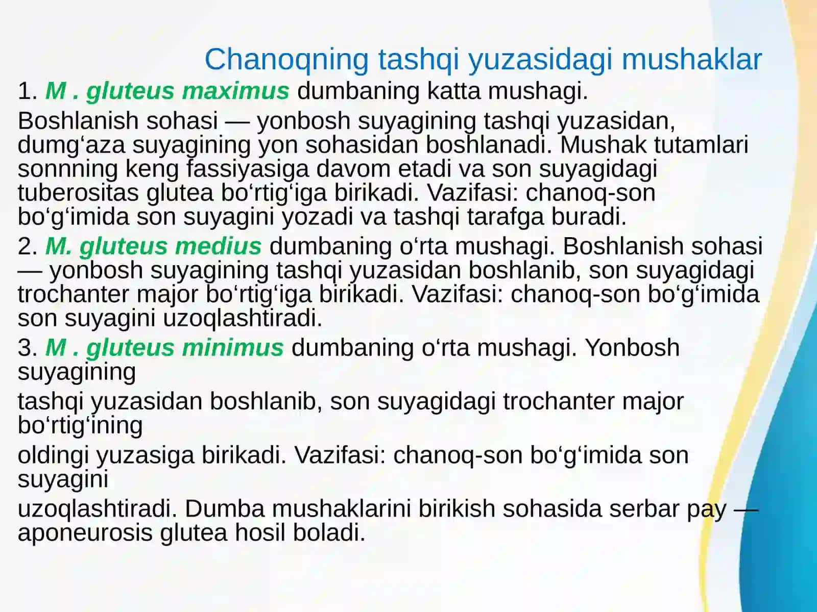 Boldir sohasining va oyoq panjasining mushaklari va fassiyalari. Oyoq sohasining topografiyasi 4