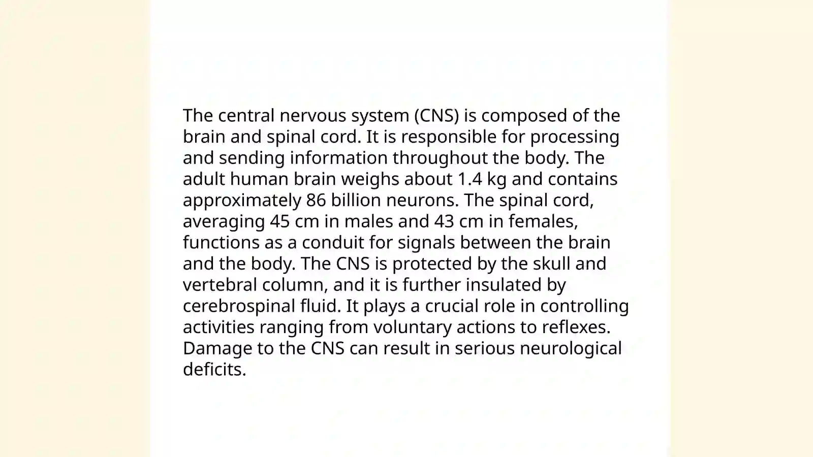 Neurons 4
